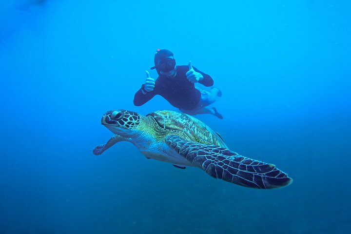 Snorkeltrip 5 Island Tour rond Koh Tao en Koh Nang Yuan