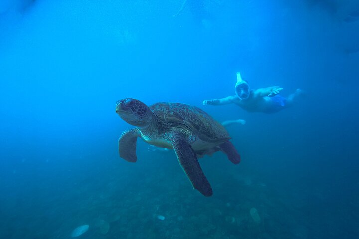 Snorkeltrip 5 Island Tour rond Koh Tao en Koh Nang Yuan