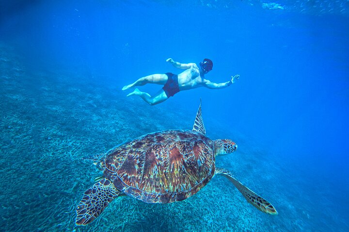 Snorkeltrip 5 Island Tour rond Koh Tao en Koh Nang Yuan