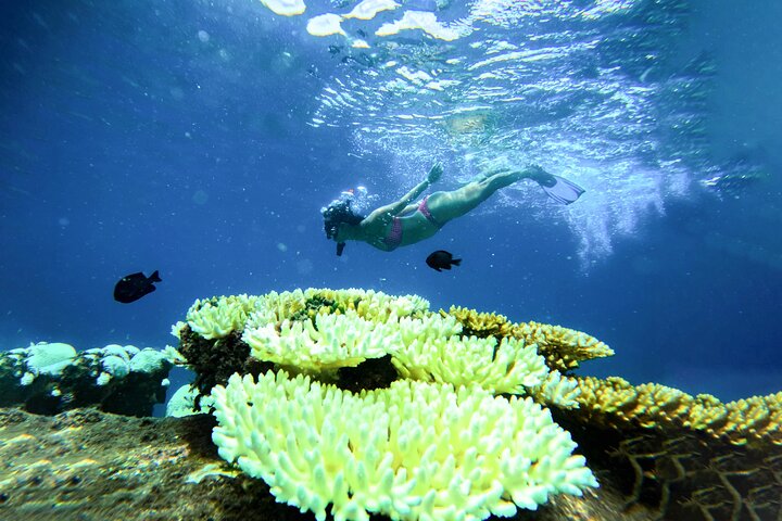 Snorkeltrip 5 Island Tour rond Koh Tao en Koh Nang Yuan