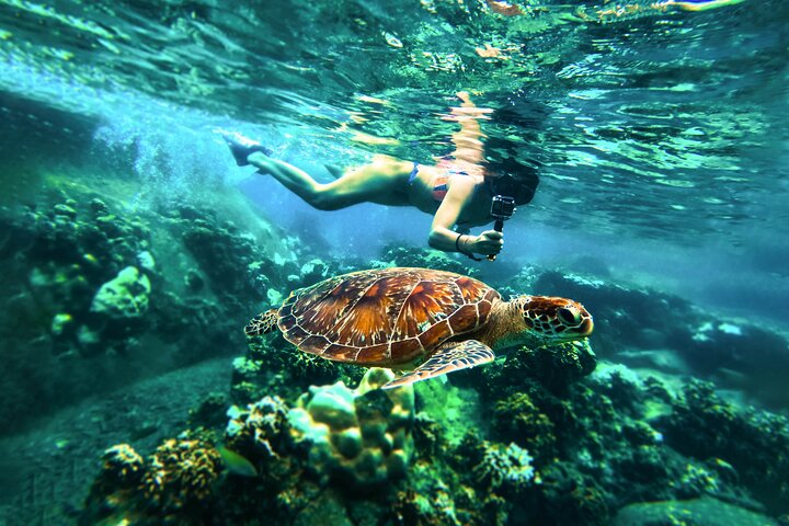 Snorkeltrip 5 Island Tour rond Koh Tao en Koh Nang Yuan