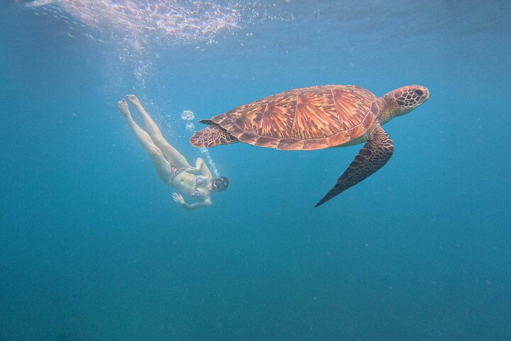 Snorkeltrip 5 Island Tour rond Koh Tao en Koh Nang Yuan