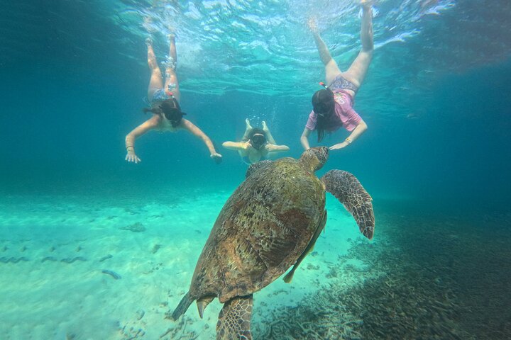 Snorkeltrip 5 Island Tour rond Koh Tao en Koh Nang Yuan