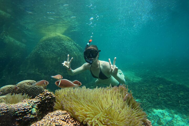 Snorkeltrip 5 Island Tour rond Koh Tao en Koh Nang Yuan