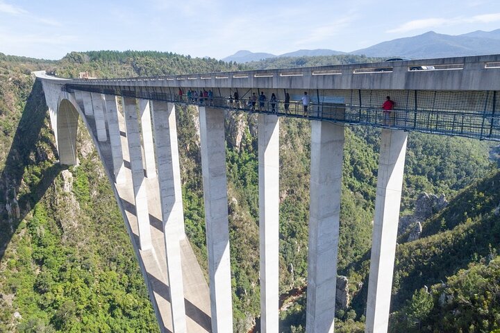 Ultimate Bloukrans Adventure Zipline Bungee Skywalk and Hangout