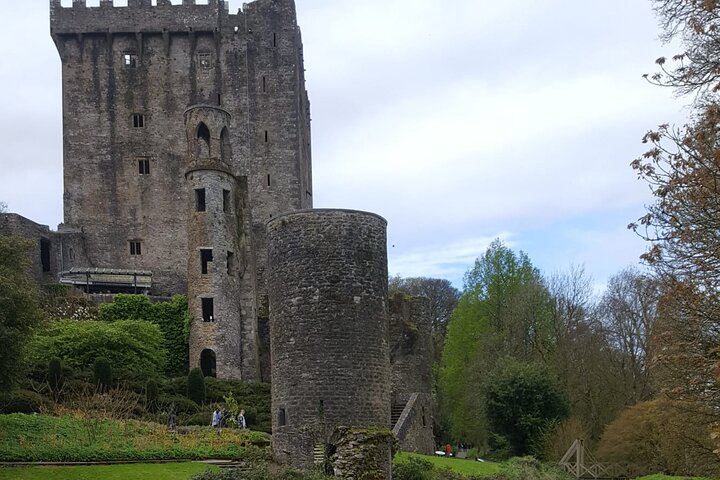 Tour de fácil acceso a la piedra de Blarney y a los jardines del castillo