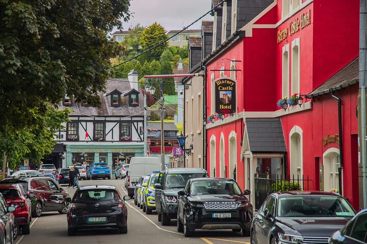 Tour de fácil acceso a la piedra de Blarney y a los jardines del castillo