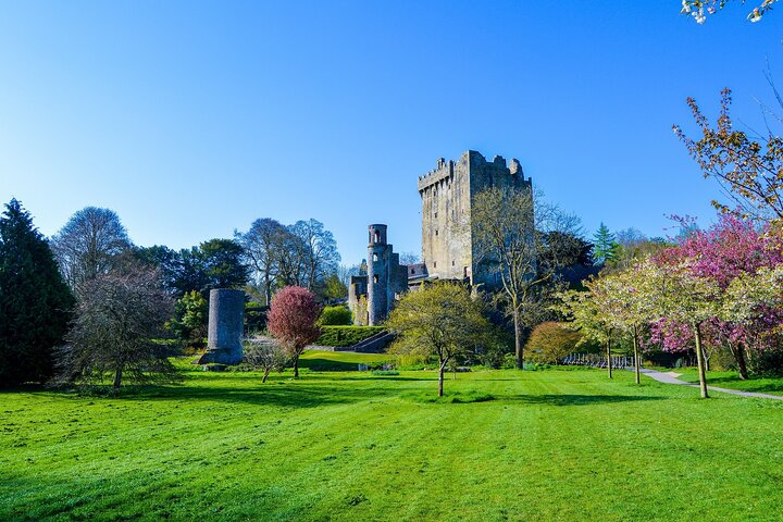 Tour de fácil acceso a la piedra de Blarney y a los jardines del castillo