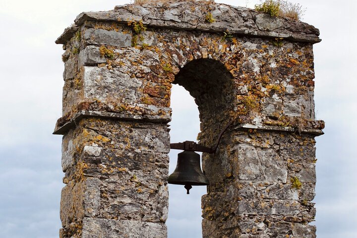 Tour de fácil acceso a la piedra de Blarney y a los jardines del castillo