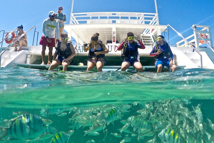 Descubre la Belleza Submarina : Explora el Arrecife Parrachos de Maracajaú