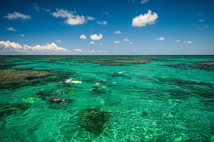 Descubre la Belleza Submarina : Explora el Arrecife Parrachos de Maracajaú