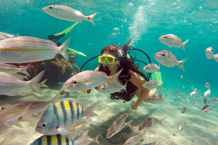 Descubre la Belleza Submarina : Explora el Arrecife Parrachos de Maracajaú