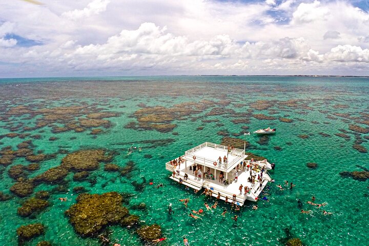 Descubre la Belleza Submarina : Explora el Arrecife Parrachos de Maracajaú