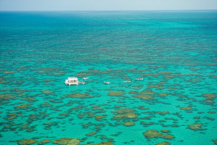 Descubre la Belleza Submarina : Explora el Arrecife Parrachos de Maracajaú