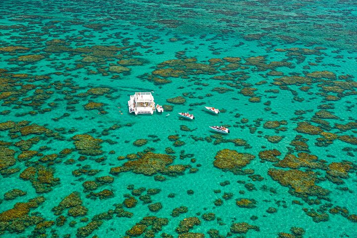 Descubre la Belleza Submarina : Explora el Arrecife Parrachos de Maracajaú
