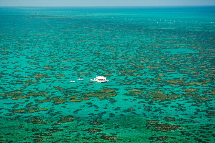 Descubre la Belleza Submarina : Explora el Arrecife Parrachos de Maracajaú