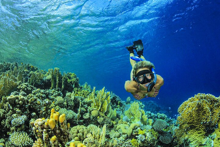 Descubre la Belleza Submarina : Explora el Arrecife Parrachos de Maracajaú