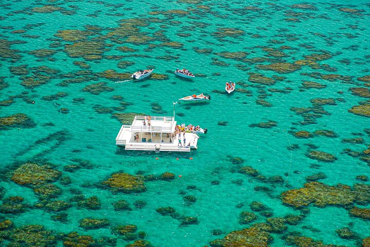 Descubre la Belleza Submarina : Explora el Arrecife Parrachos de Maracajaú