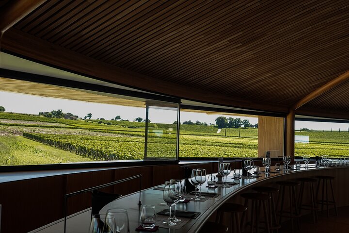 Saint-Émilion Wine Tour por bicicleta elétrica premium, almoço incluído