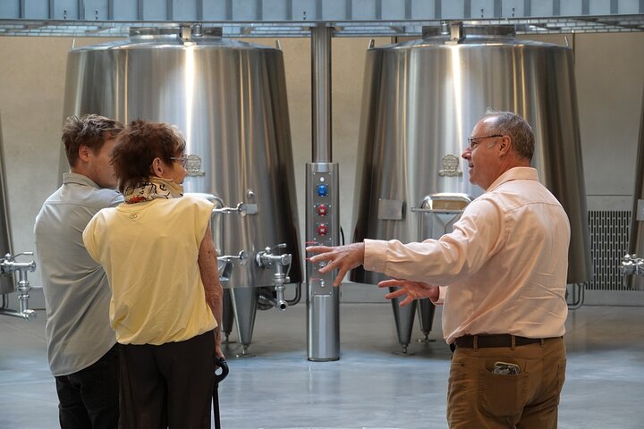 Saint-Émilion Wine Tour por bicicleta elétrica premium, almoço incluído