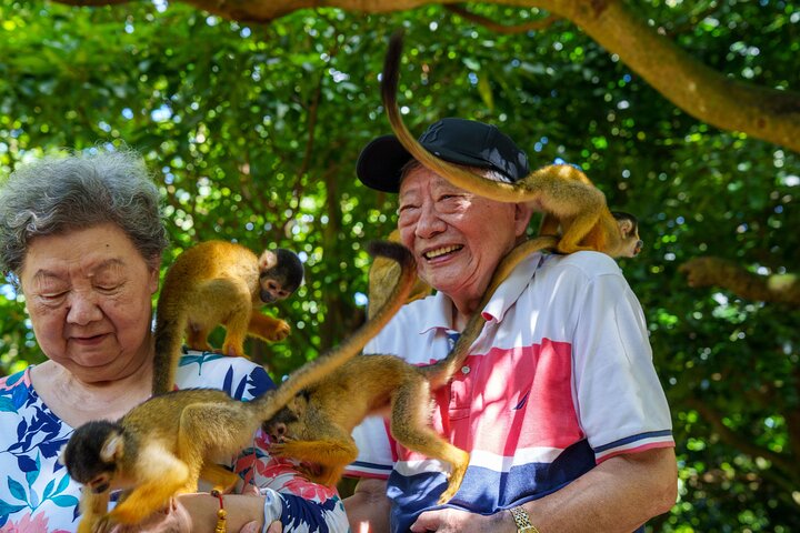 【Personnalisable】Ishigaki Private Tour - Jusqu'à 4 personnes, Forfait -