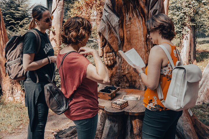 Privé: Escape Game en plein air Lac de Constance : L'évasion de Konradin !
