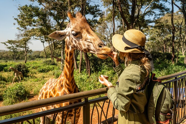 Nairobi National Park Elephant Orphanage and Giraffe Centre