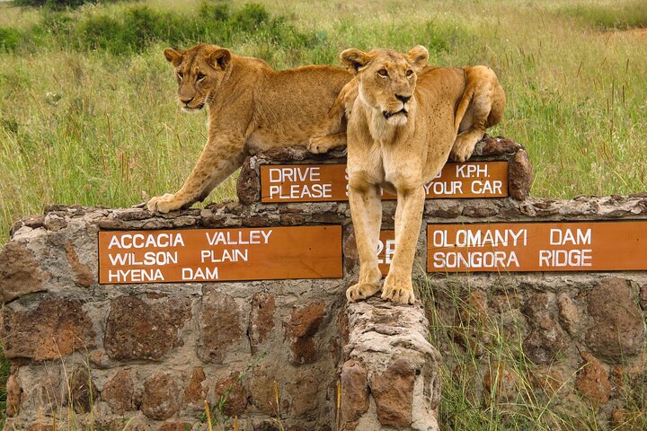 Nairobi National Park Elephant Orphanage and Giraffe Centre