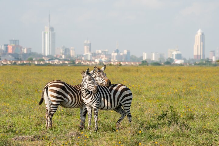 Nairobi National Park Elephant Orphanage and Giraffe Centre