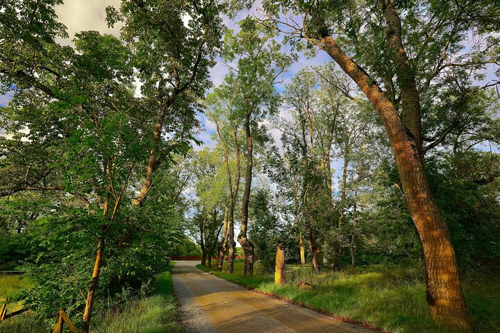 Cuyahoga Valley Nationalpark Selbstgeführte Audio-Fahrt