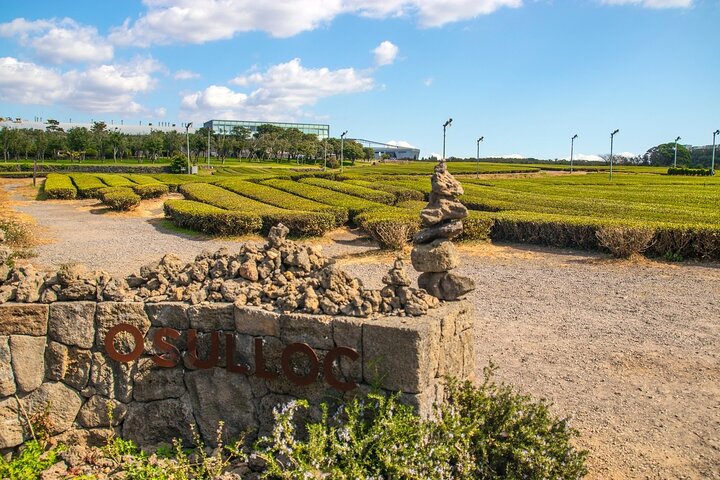 Excursão de dia inteiro ao sul de Jeju pela UNESCO com Mt.Halla
