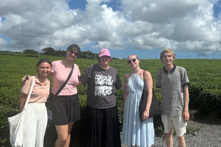 Excursão de dia inteiro ao sul de Jeju pela UNESCO com Mt.Halla