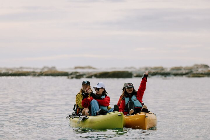 Excursión privada en kayak para ver focas y vida salvaje en Kaikoura