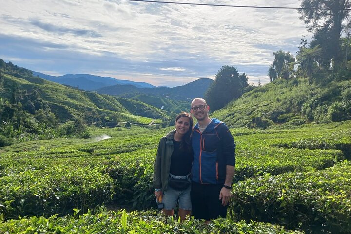 Cameron Highland Tour privato di un giorno da Ipoh