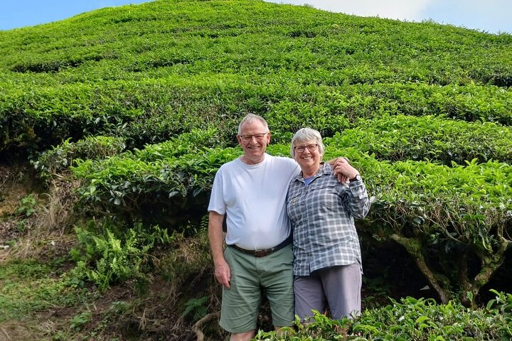 Cameron Highland Tour privato di un giorno da Ipoh