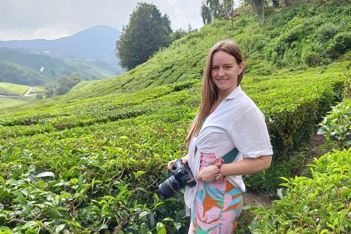 Cameron Highland Tour privato di un giorno da Ipoh