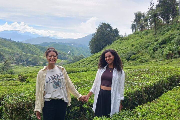 Cameron Highland Tour privato di un giorno da Ipoh
