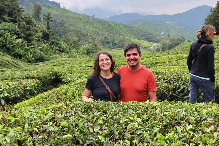 Cameron Highland Tour privato di un giorno da Ipoh