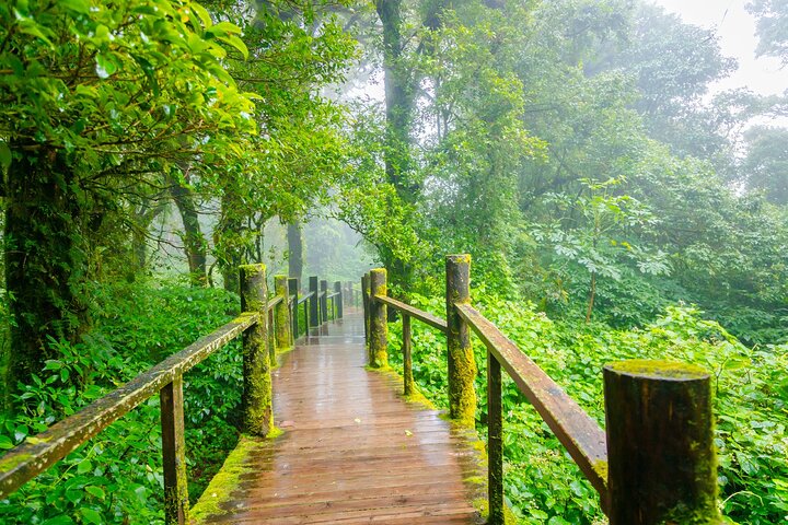 Doi Inthanon nasjonalpark, fossefall og Royal Project Day Tour fra Chiang Mai