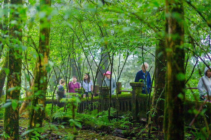 Doi Inthanon nasjonalpark, fossefall og Royal Project Day Tour fra Chiang Mai