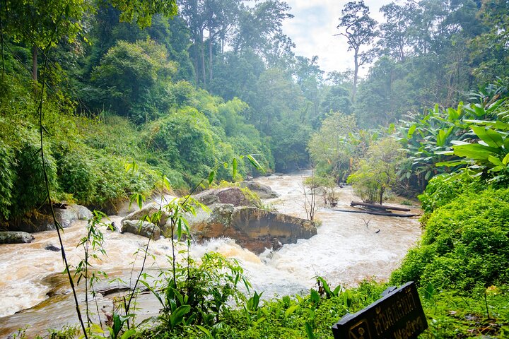 Doi Inthanon nasjonalpark, fossefall og Royal Project Day Tour fra Chiang Mai