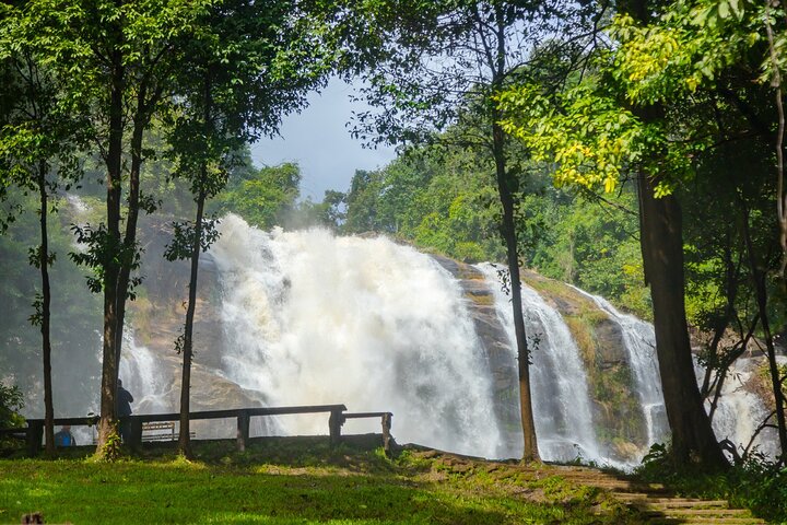Doi Inthanon nasjonalpark, fossefall og Royal Project Day Tour fra Chiang Mai