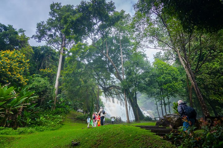 Doi Inthanon nasjonalpark, fossefall og Royal Project Day Tour fra Chiang Mai