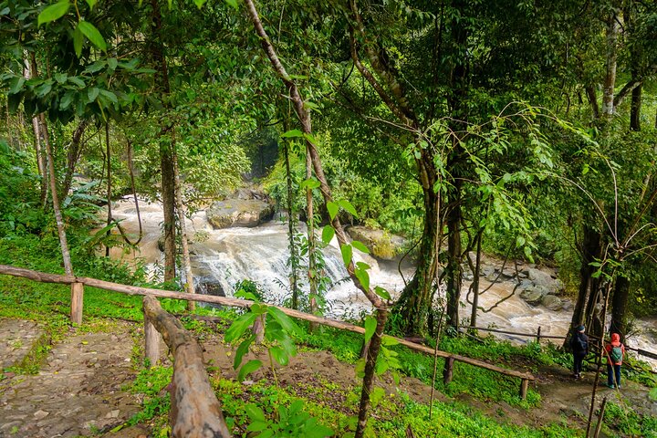 Doi Inthanon nasjonalpark, fossefall og Royal Project Day Tour fra Chiang Mai