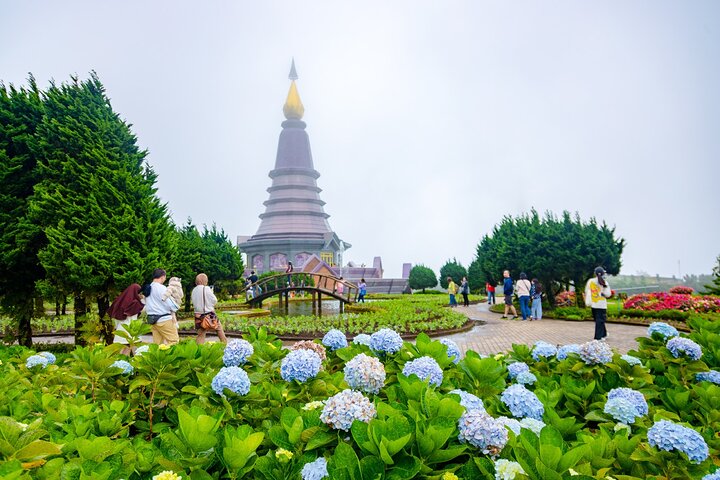 Doi Inthanon nasjonalpark, fossefall og Royal Project Day Tour fra Chiang Mai