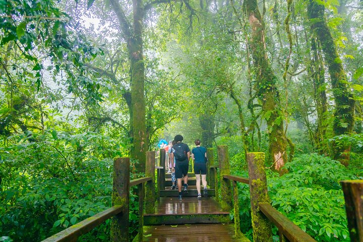 Doi Inthanon nasjonalpark, fossefall og Royal Project Day Tour fra Chiang Mai
