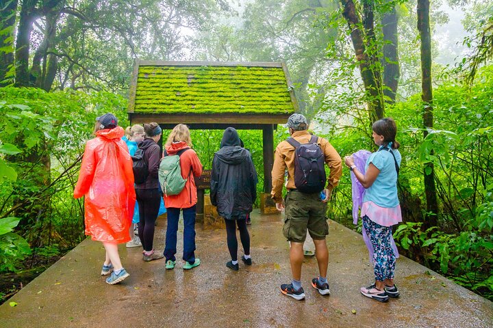 Doi Inthanon nasjonalpark, fossefall og Royal Project Day Tour fra Chiang Mai