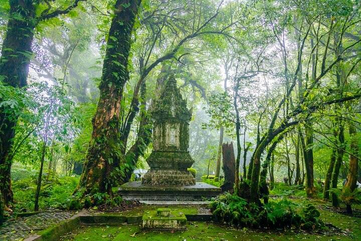 Doi Inthanon nasjonalpark, fossefall og Royal Project Day Tour fra Chiang Mai