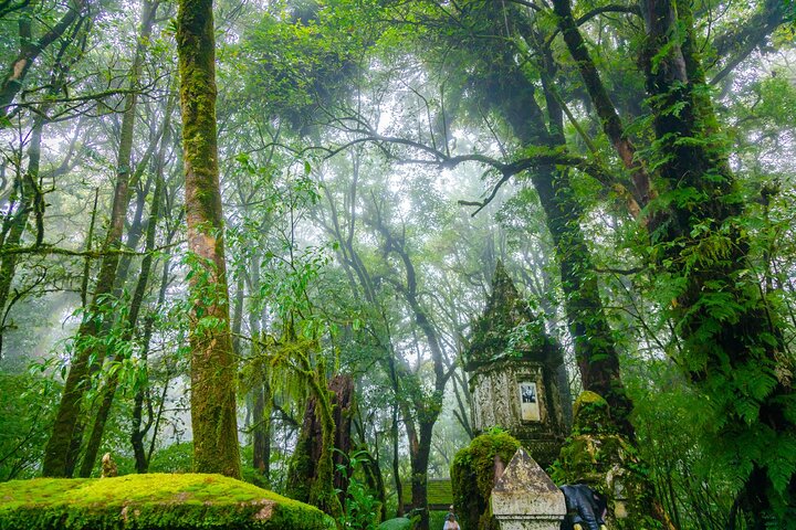 Doi Inthanon nasjonalpark, fossefall og Royal Project Day Tour fra Chiang Mai