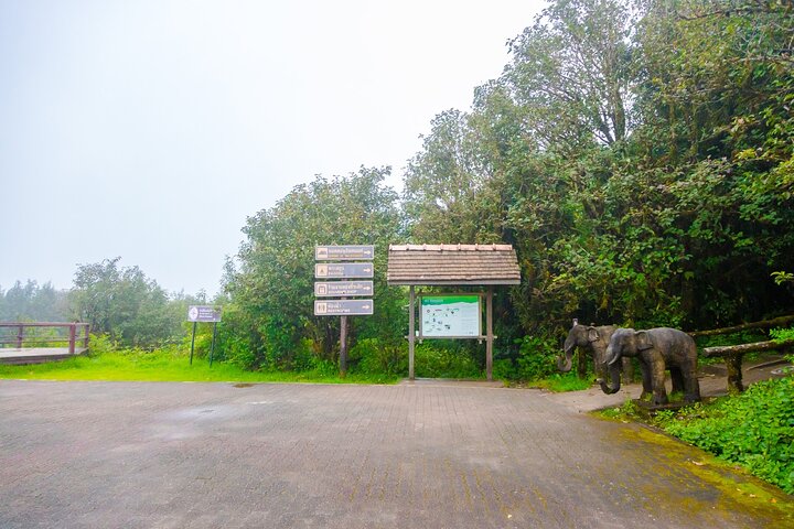 Doi Inthanon nasjonalpark, fossefall og Royal Project Day Tour fra Chiang Mai
